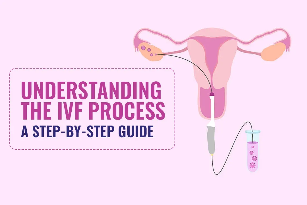Understanding the IVF Process: A Step-by-Step Guide